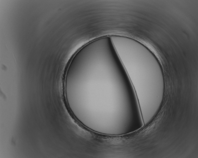 X0000091100999200708061018