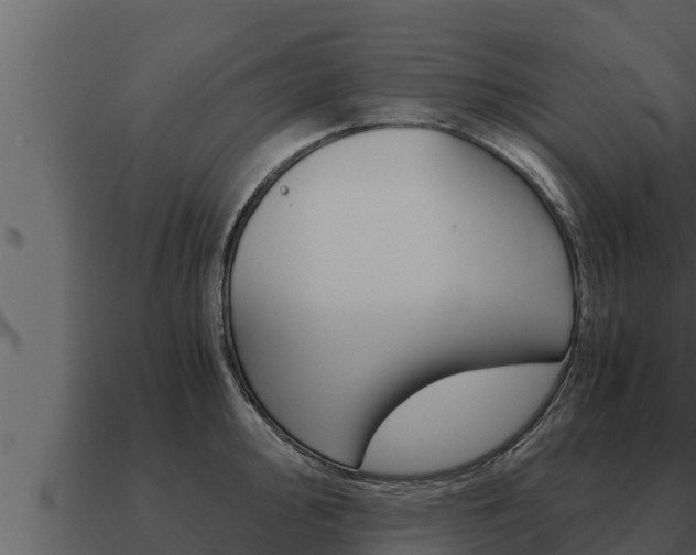 X0000091101000200708061018