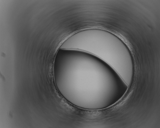 X0000091101001200708061018