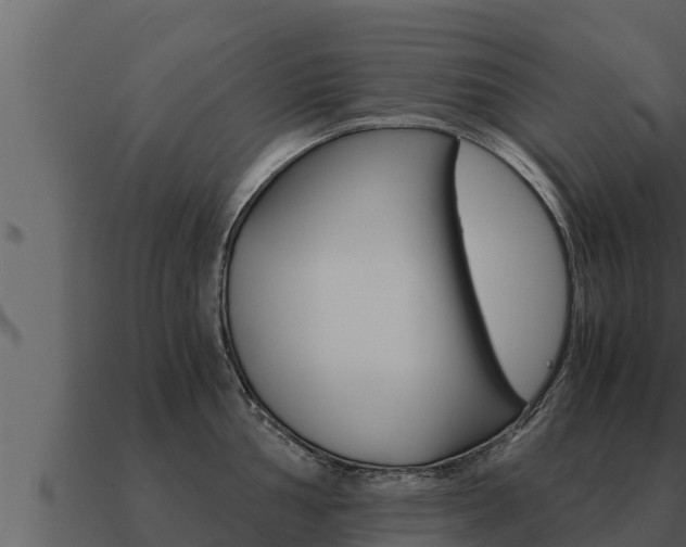 X0000091101002200708061018