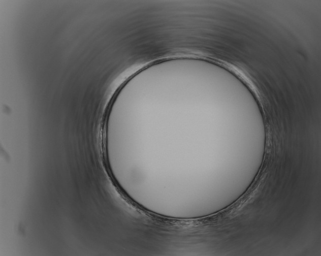 X0000091101003200708061018