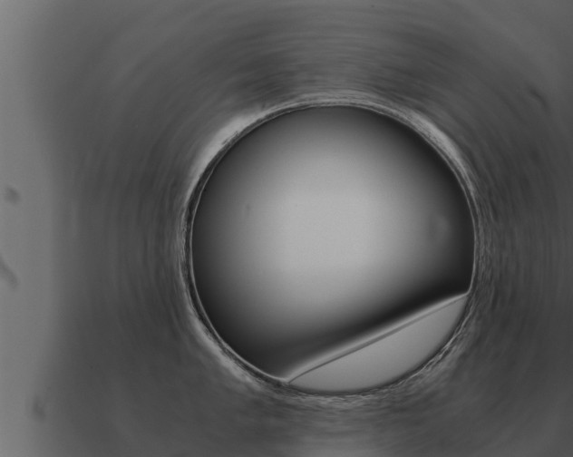 X0000091101005200708061018