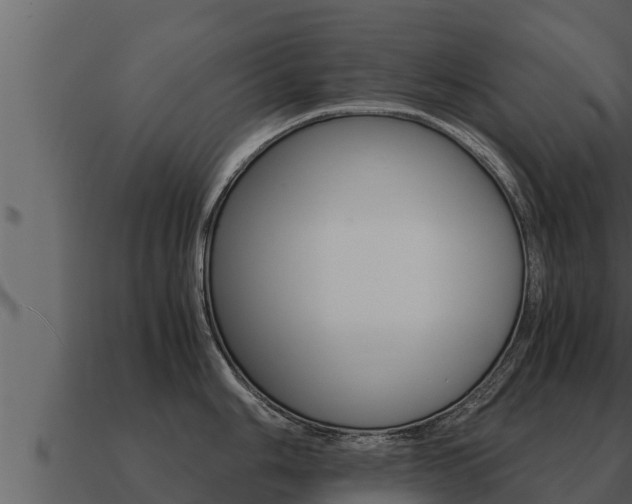 X0000091101006200708061018
