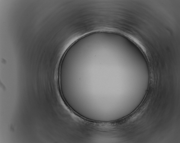 X0000091101007200708061018