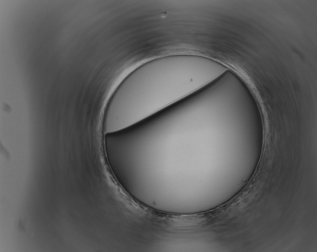 X0000091101008200708061018