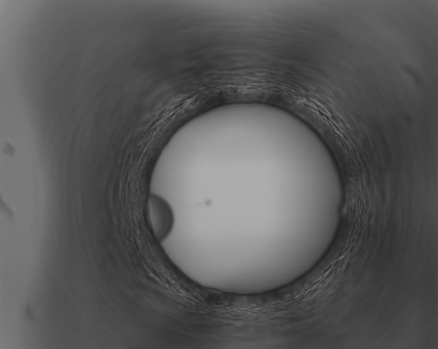 X0000091101009200708061017