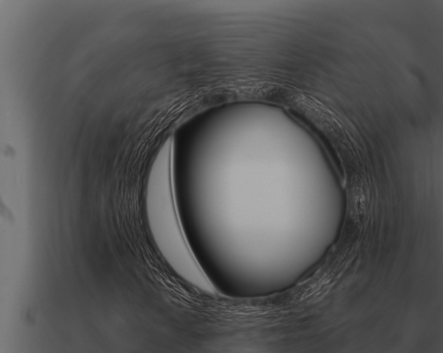 X0000091101010200708061017