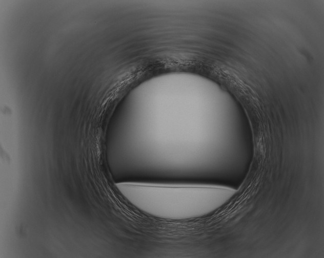 X0000091101012200708061017