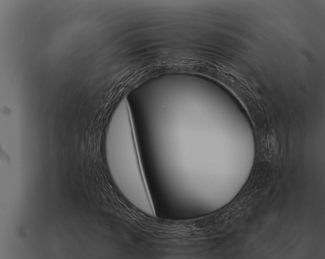 X0000091101013200708061017