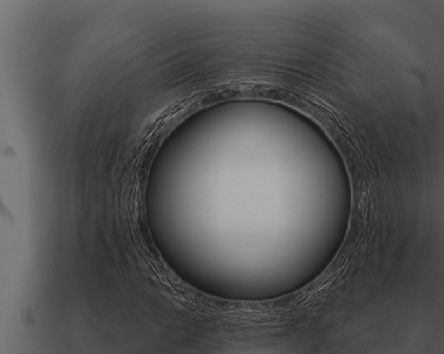 X0000091101014200708061017