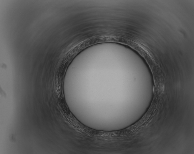 X0000091101015200708061017