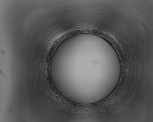 X0000091101016200708061017