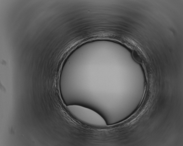 X0000091101017200708061017