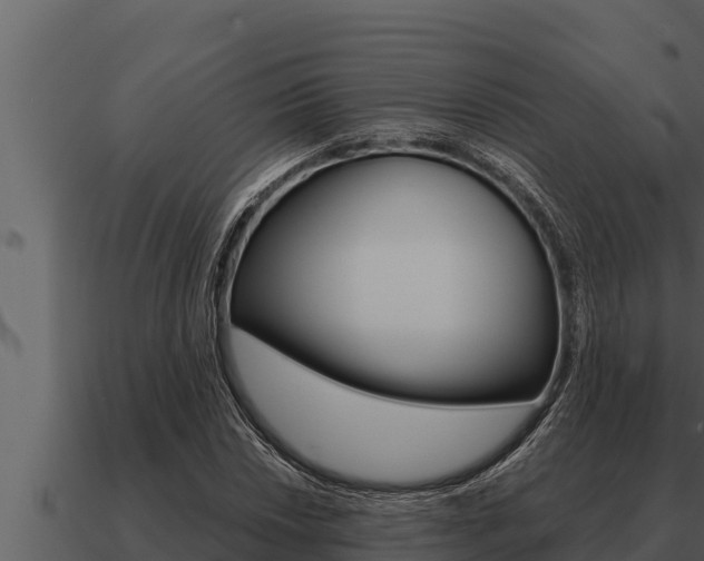 X0000091101018200708061017