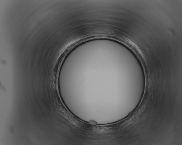 X0000091101019200708061017