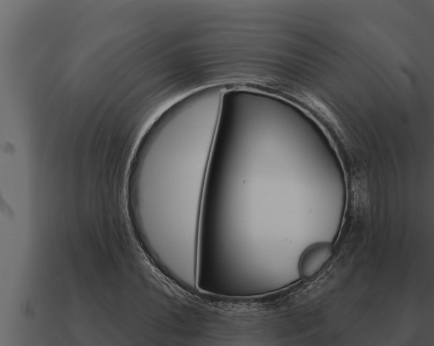 X0000091101020200708061017