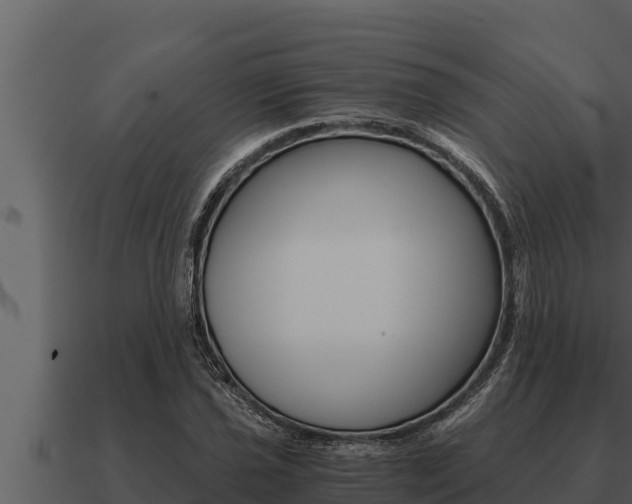 X0000091101021200708061017