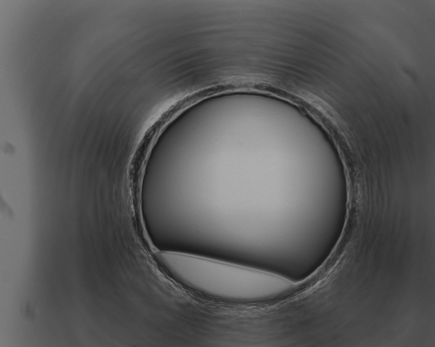 X0000091101022200708061017