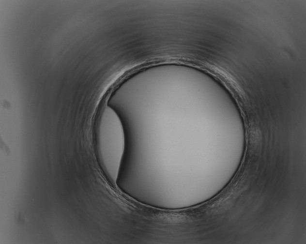 X0000091101023200708061017