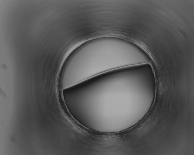 X0000091101024200708061017