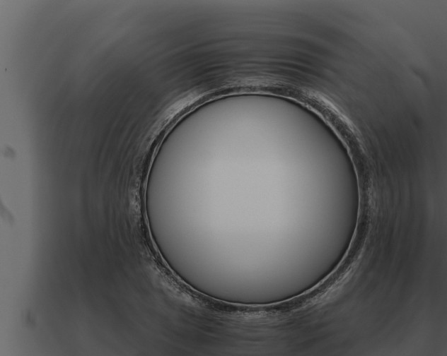 X0000091101025200708061017