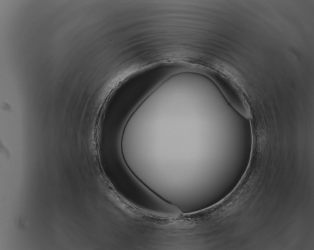 X0000091101026200708061017