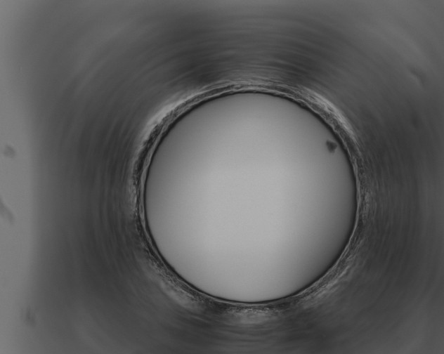 X0000091101027200708061017