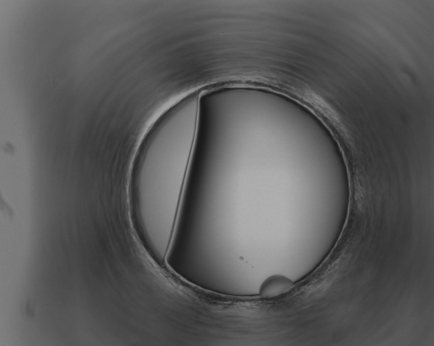 X0000091101028200708061017