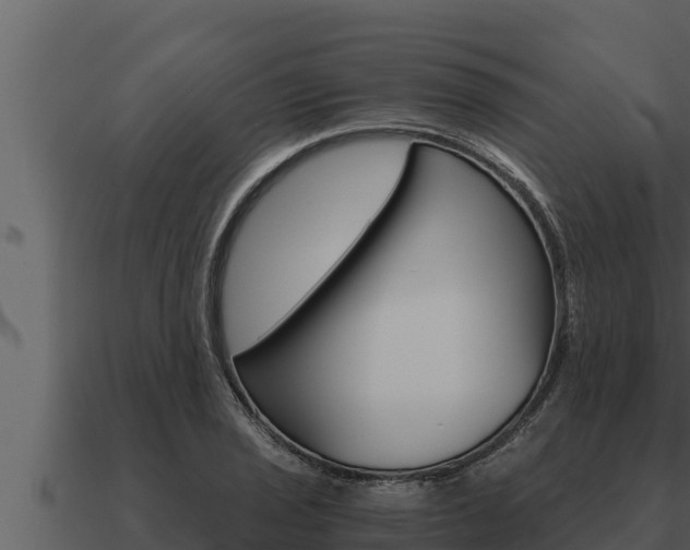 X0000091101029200708061017