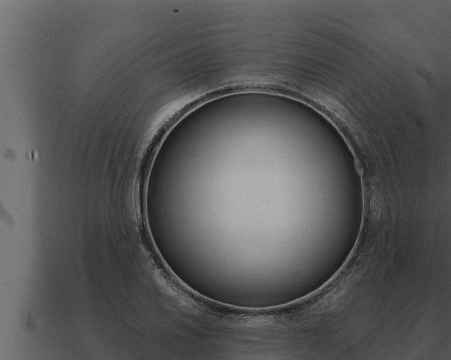 X0000091101030200708061017