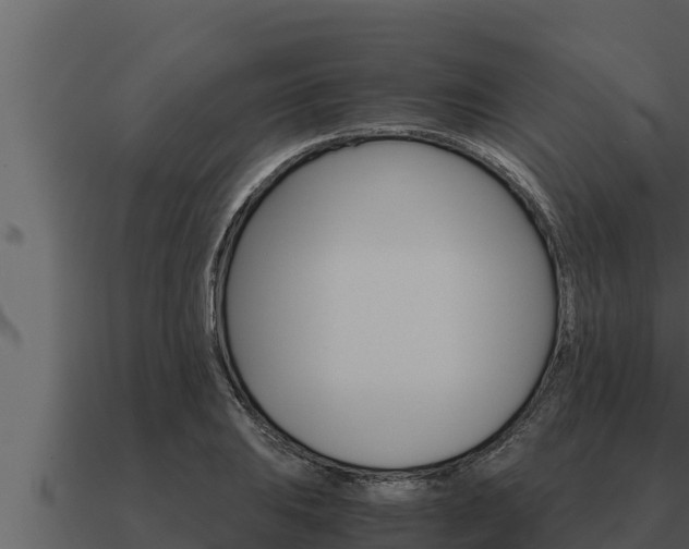 X0000091101031200708061017