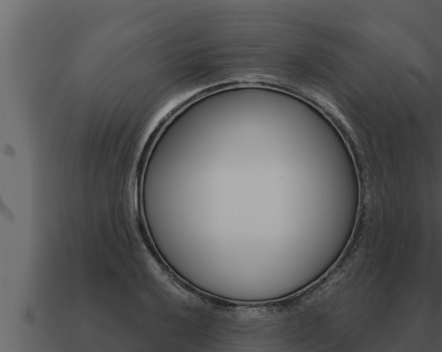 X0000091101032200708061017