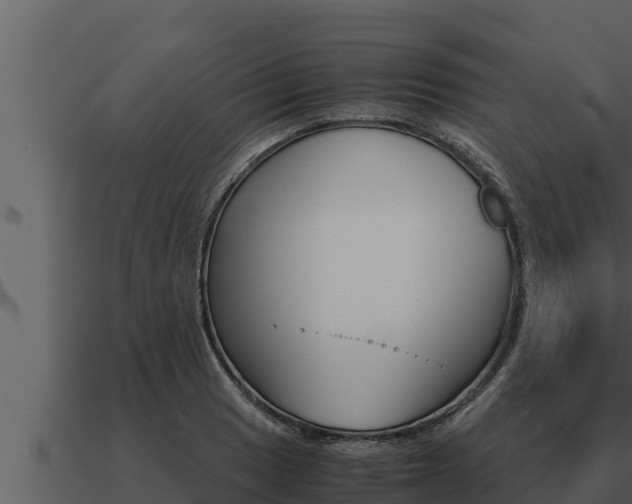 X0000091101033200708061017