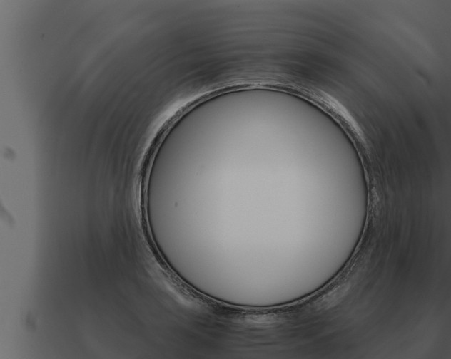 X0000091101035200708061017