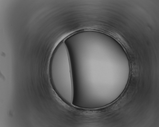 X0000091101036200708061017