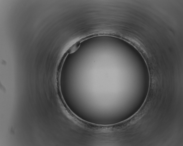 X0000091101038200708061017