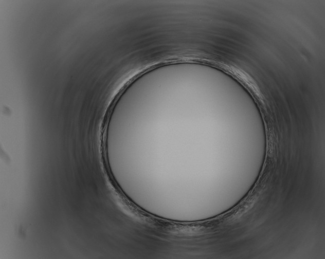 X0000091101039200708061018