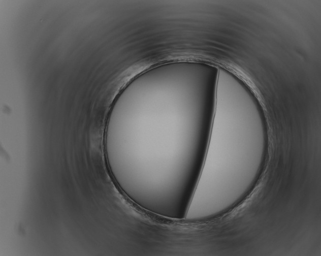 X0000091101041200708061018