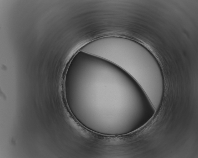 X0000091101042200708061018