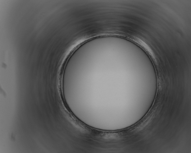 X0000091101043200708061018