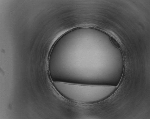 X0000091101044200708061018