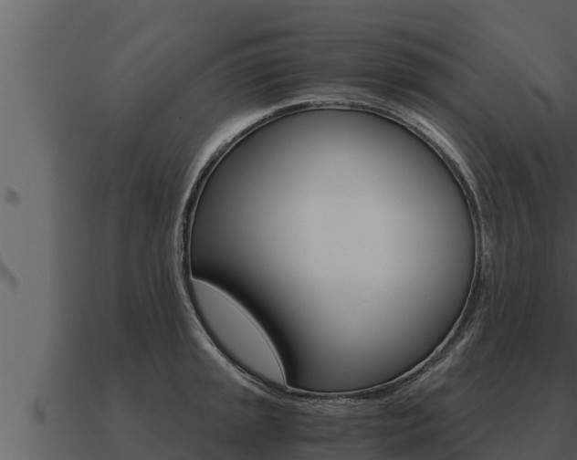 X0000091101045200708061018