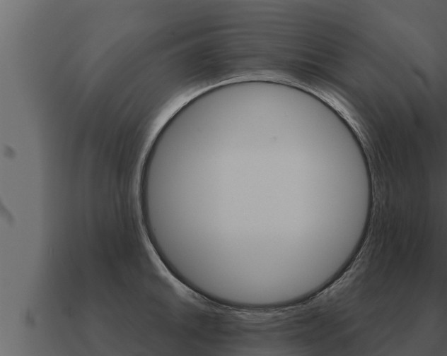 X0000091101046200708061018