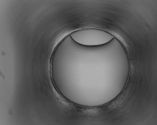 X0000091101047200708061018
