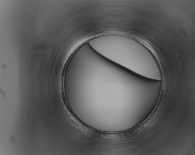 X0000091101048200708061018