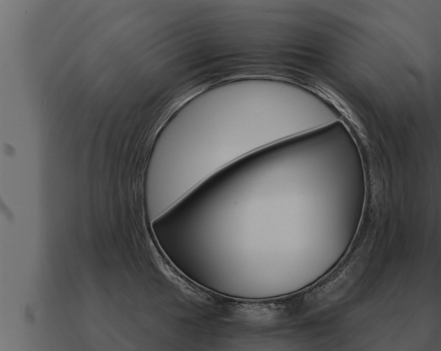 X0000091101049200708061018