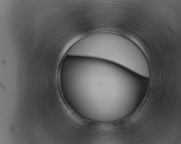 X0000091101050200708061018