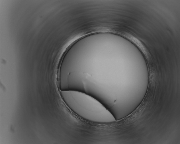 X0000091101051200708061018