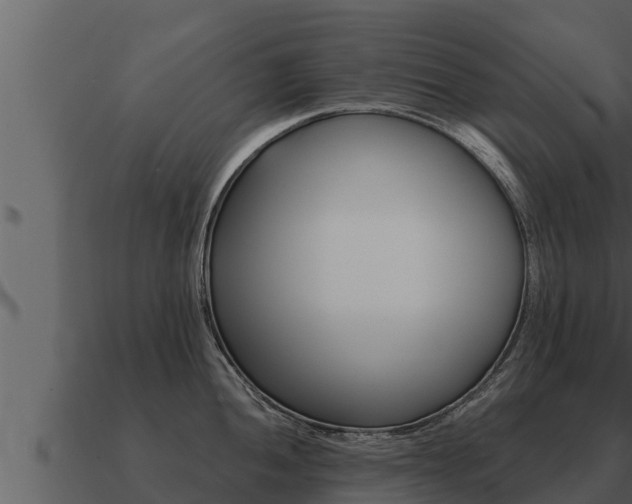 X0000091101052200708061018