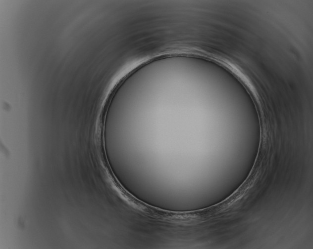 X0000091101053200708061018
